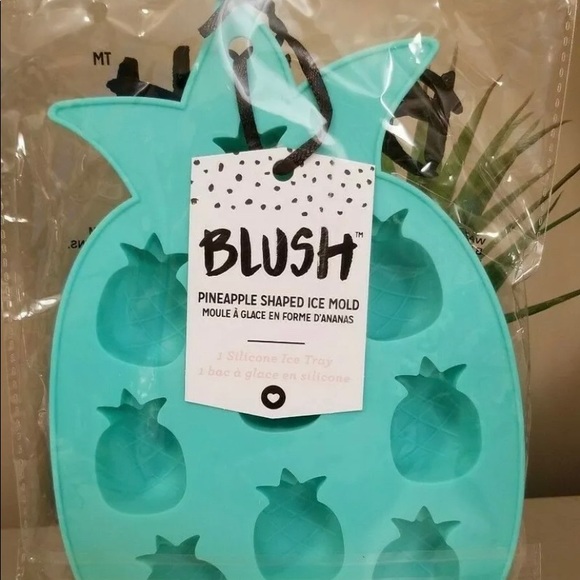 🆕 NEW Blush Pineapple Ice Mold - Picture 3 of 3